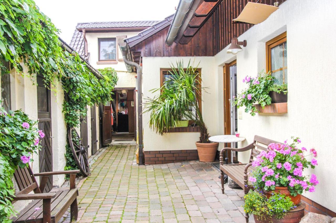 Likedeeler 6 Appartement Zingst Buitenkant foto